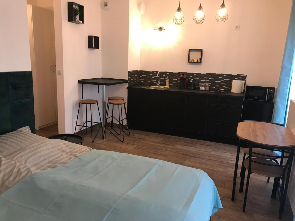 Steam Park Rakowicka Koper Apartment Krakow